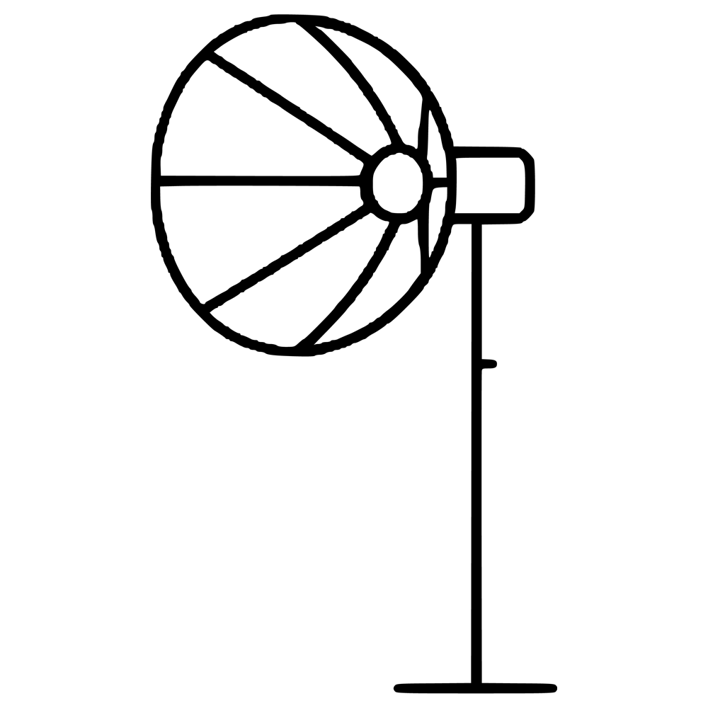 Light